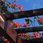 Schoen Eingerichtetes - La Yazmina By Interhome Semesterbostad *