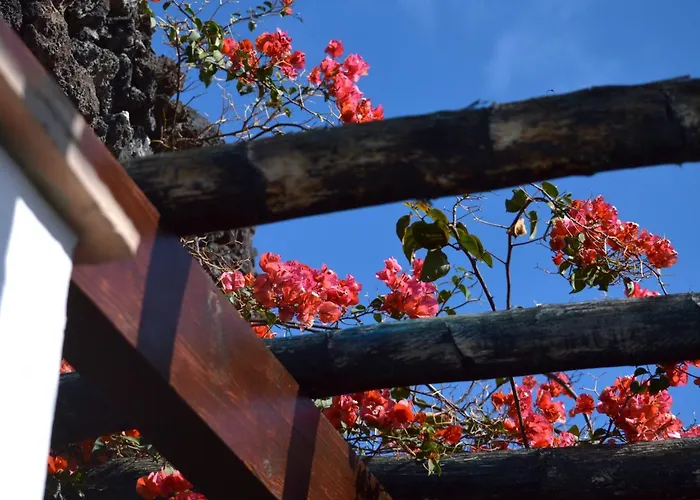 Schoen Eingerichtetes - La Yazmina By Interhome Holiday home *